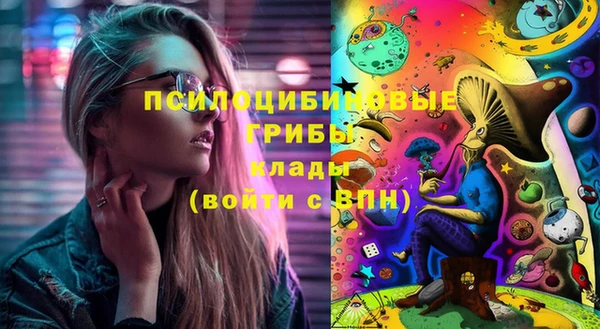 бошки Верхний Тагил
