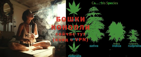 ПСИЛОЦИБИНОВЫЕ ГРИБЫ Верхнеуральск