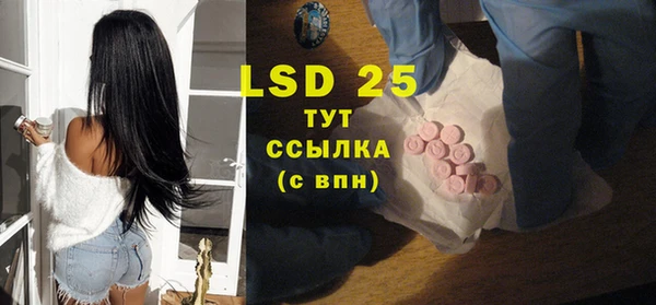 ПСИЛОЦИБИНОВЫЕ ГРИБЫ Верхнеуральск
