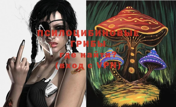 ALPHA PVP Верея
